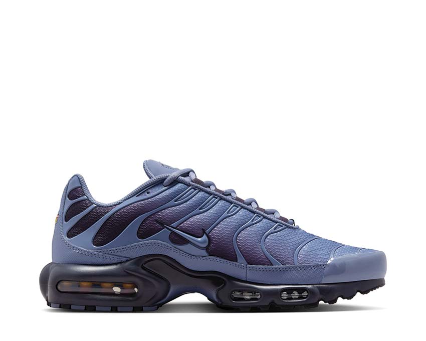 Nike Air Max Plus DM0032-404