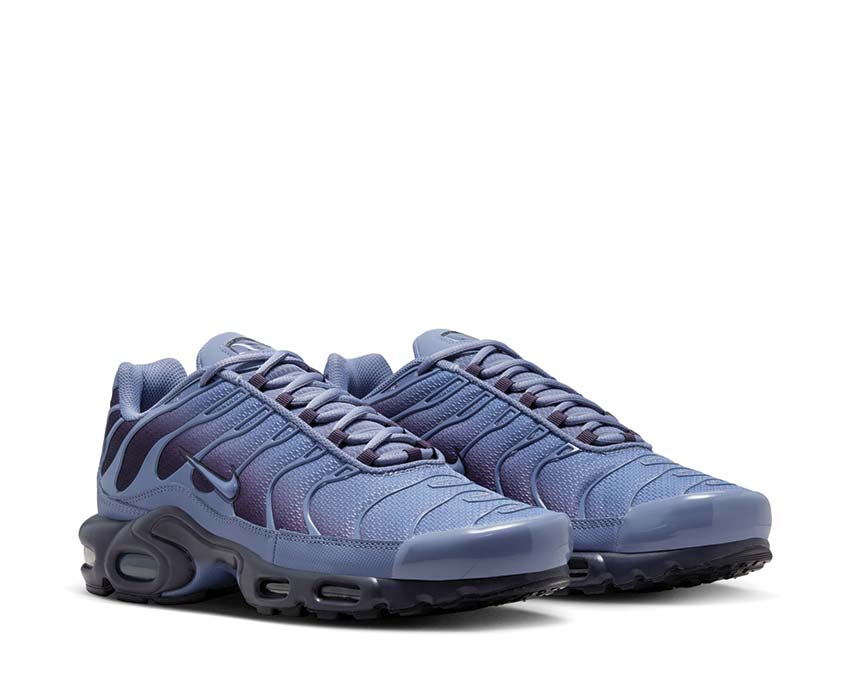 Nike Air Max Plus DM0032-404