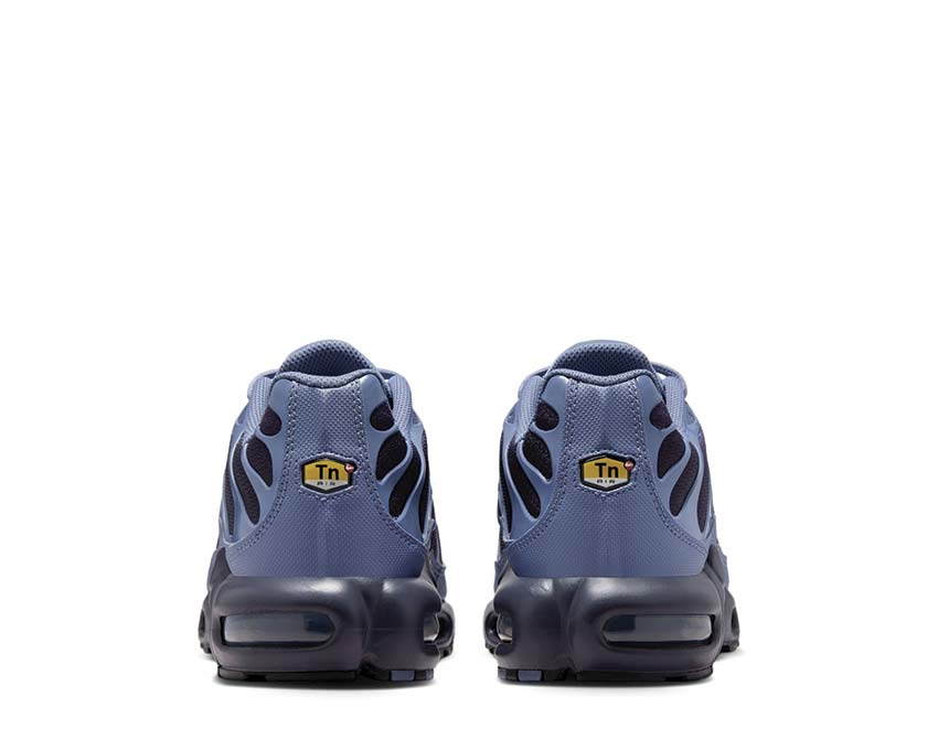 Nike Air Max Plus DM0032-404
