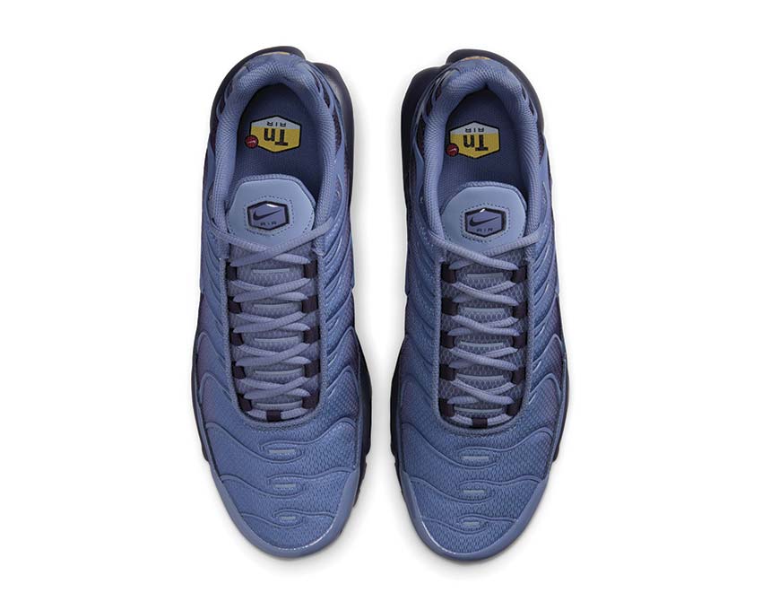 Nike Air Max Plus DM0032-404