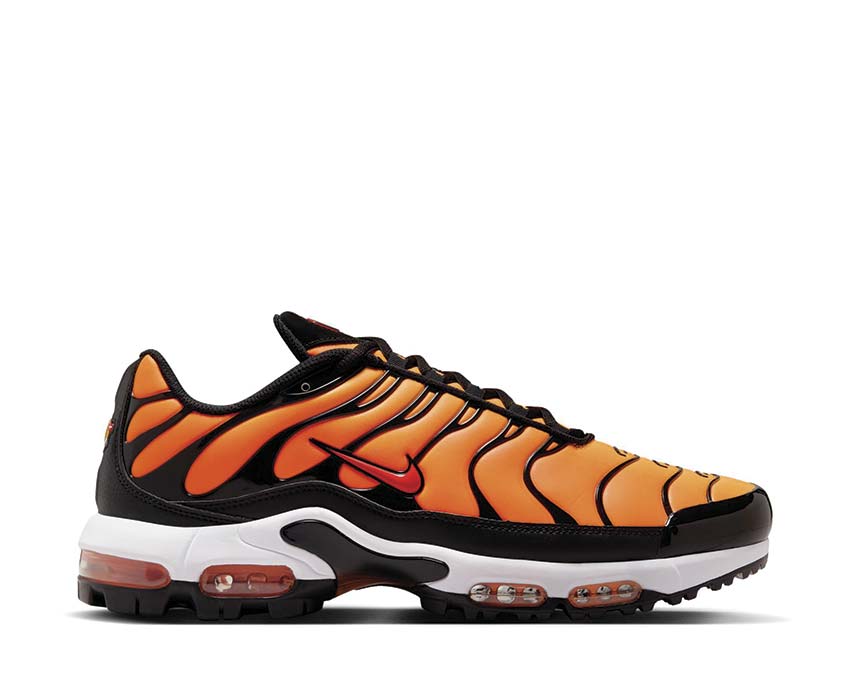  Nike Air Max Plus G Resin / Pimento - Bright Ceramic - Black FZ4150-800