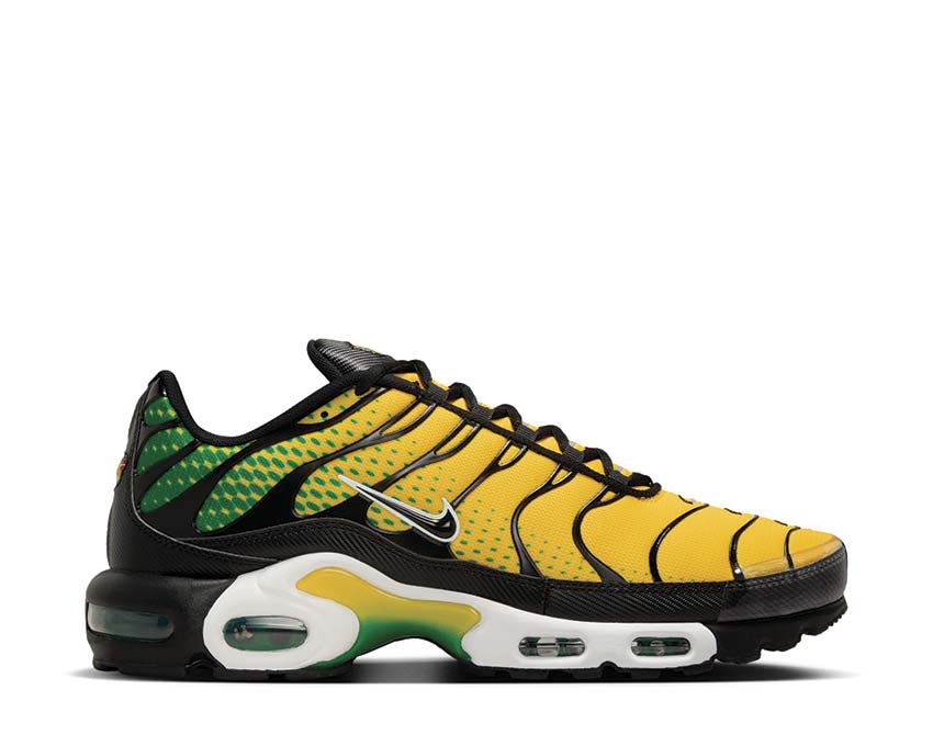  Nike Air Max Plus IB7671-700 