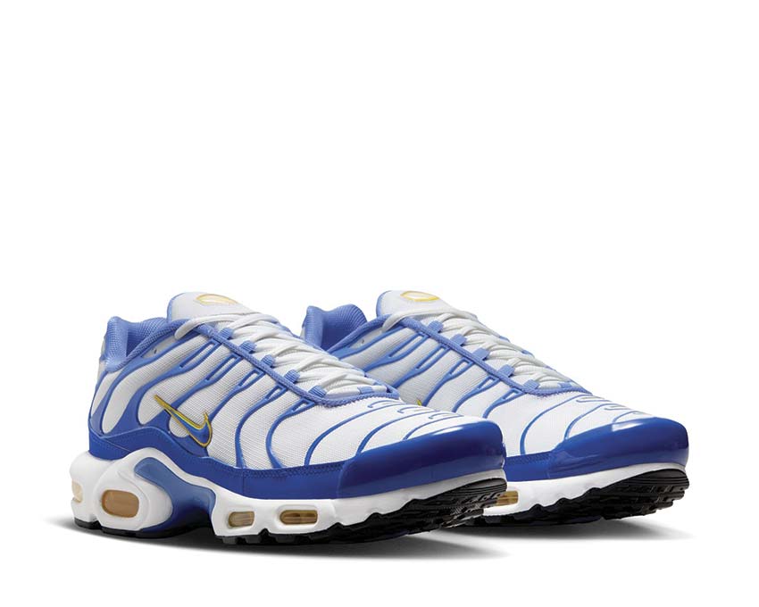 Nike Air Max Plus IF6224-100