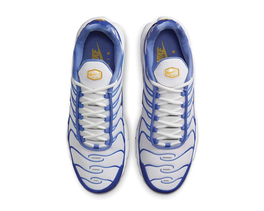 Nike Air Max Plus IF6224-100