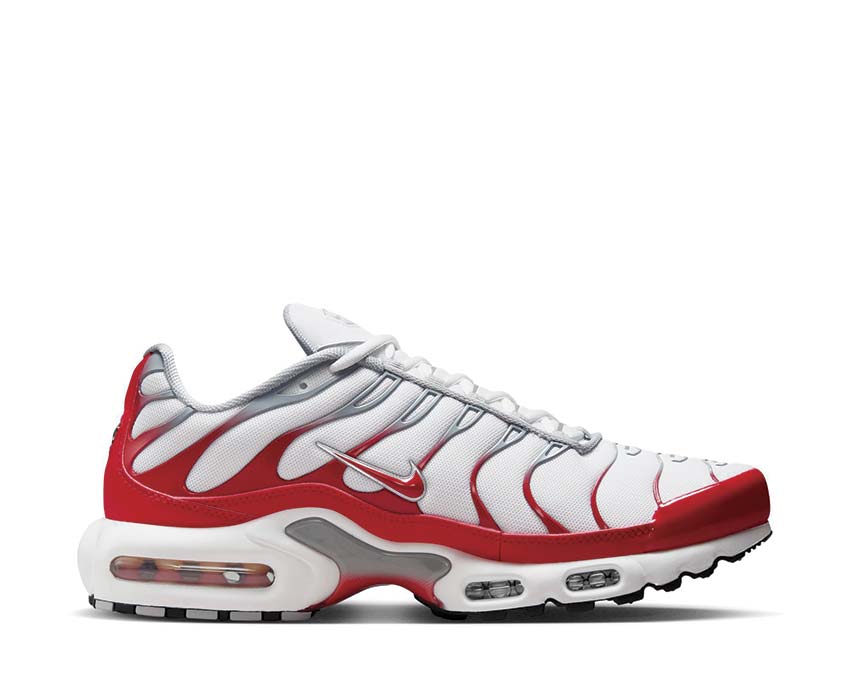 Nike Air Max Plus IF6224-101