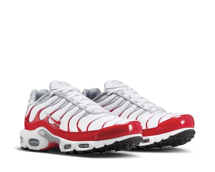 Nike Air Max Plus IF6224-101