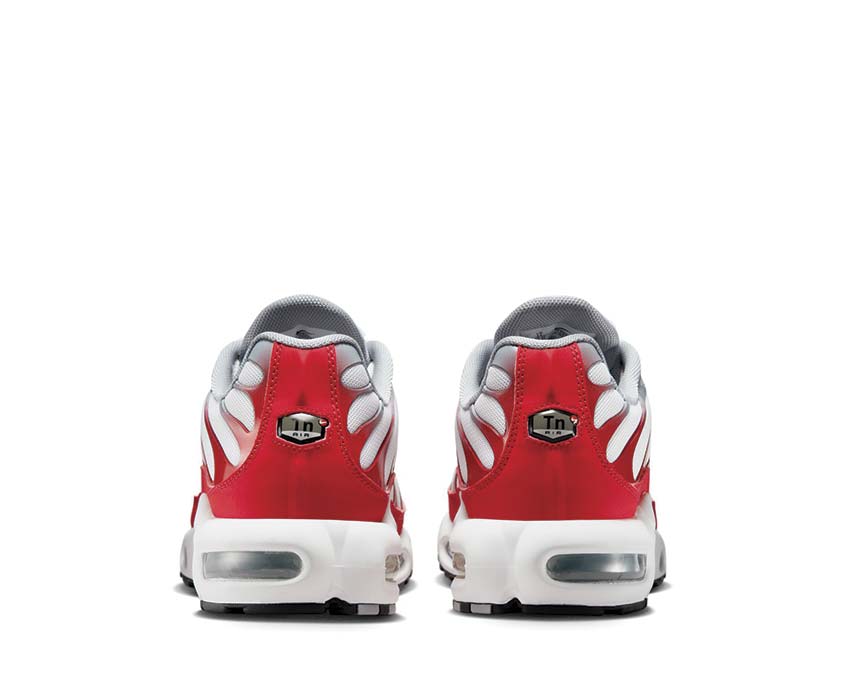 Nike Air Max Plus IF6224-101
