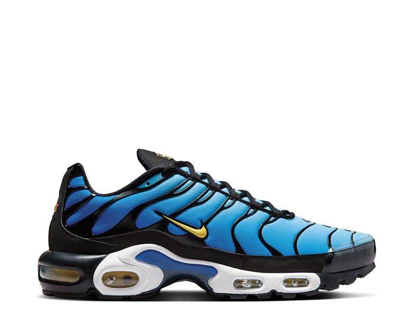 Nike Air Max Plus OG Black / Chamois - Sky Blue - Hyper Blue DX0755-001