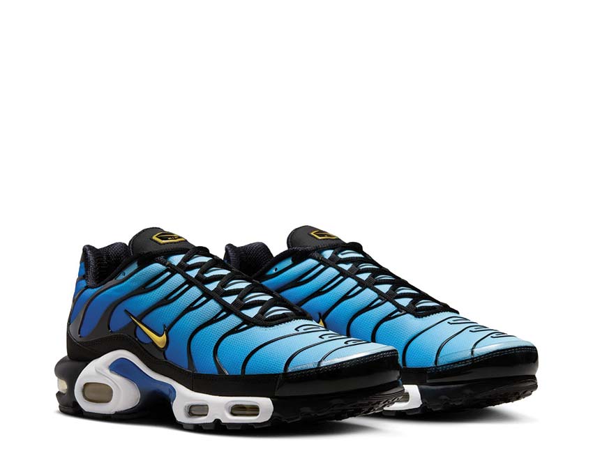 Nike Air Max Plus OG Black / Chamois - Sky Blue - Hyper Blue DX0755-001