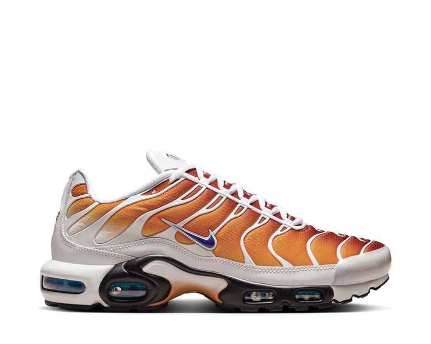 Nike Air Max Plus One Black Down "Reverse" Chutney / Regency Purple - Photon Dust FZ3308-700