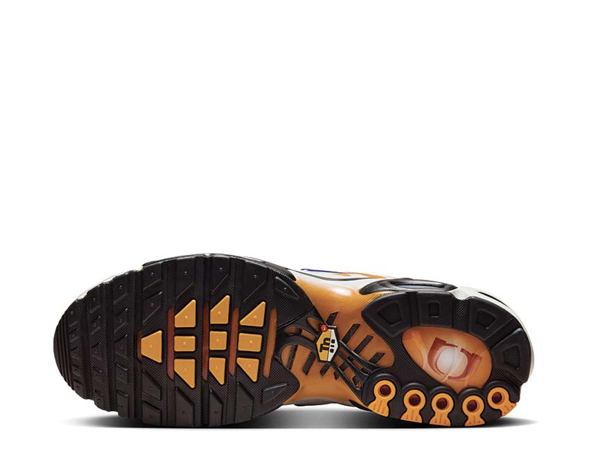 Nike Air Max Plus One Black Down "Reverse" Chutney / Regency Purple - Photon Dust FZ3308-700