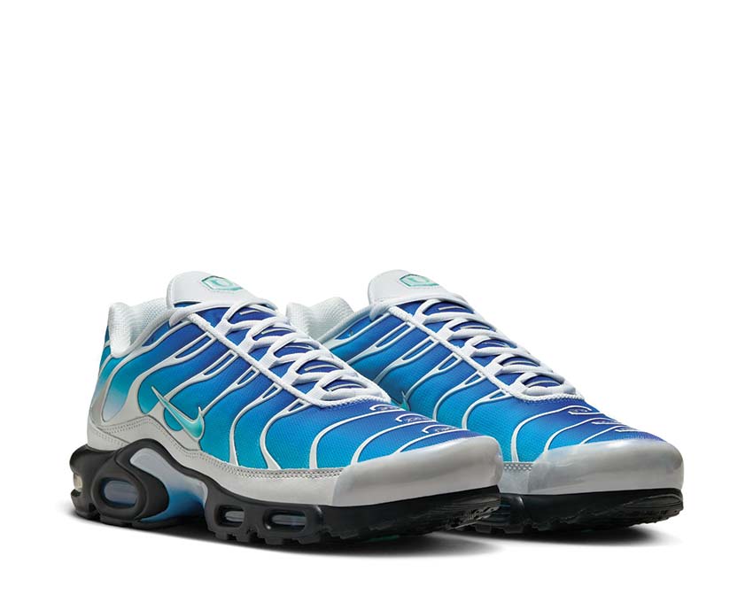 Nike Air Max Plus One Black Down "Reverse" LT Photo Blue / Aurora Green - Photon Dust FZ3308-400