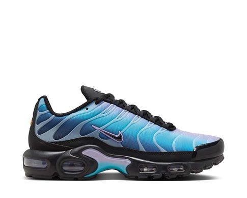 Nike Air Max Plus One Block Down Black / Black - Hydrangeas - Football Grey HV2510-001