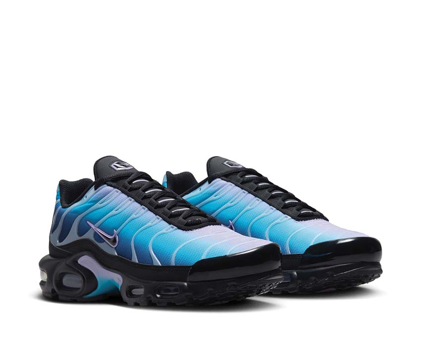 Nike Air Max Plus One Block Down Black / Black - Hydrangeas - Football Grey HV2510-001
