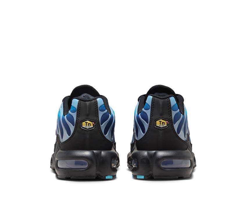 Nike Air Max Plus One Block Down Black / Black - Hydrangeas - Football Grey HV2510-001