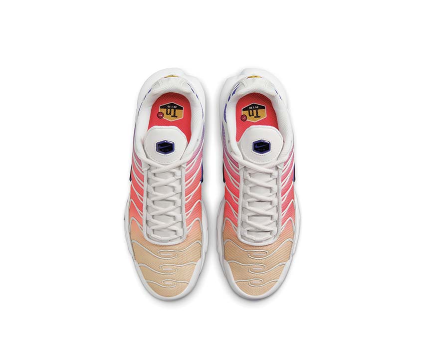 Nike Air Max Plus Platinum Tint - Black - Persian Violet DZ3670-003