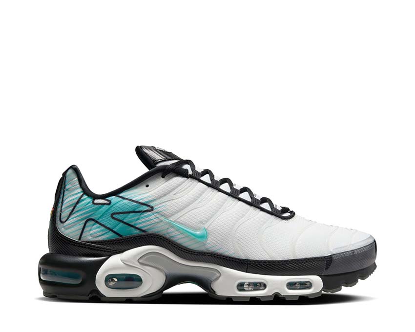 Nike Air Max Plus Summit White - Aurora Green - Black HV6225-100