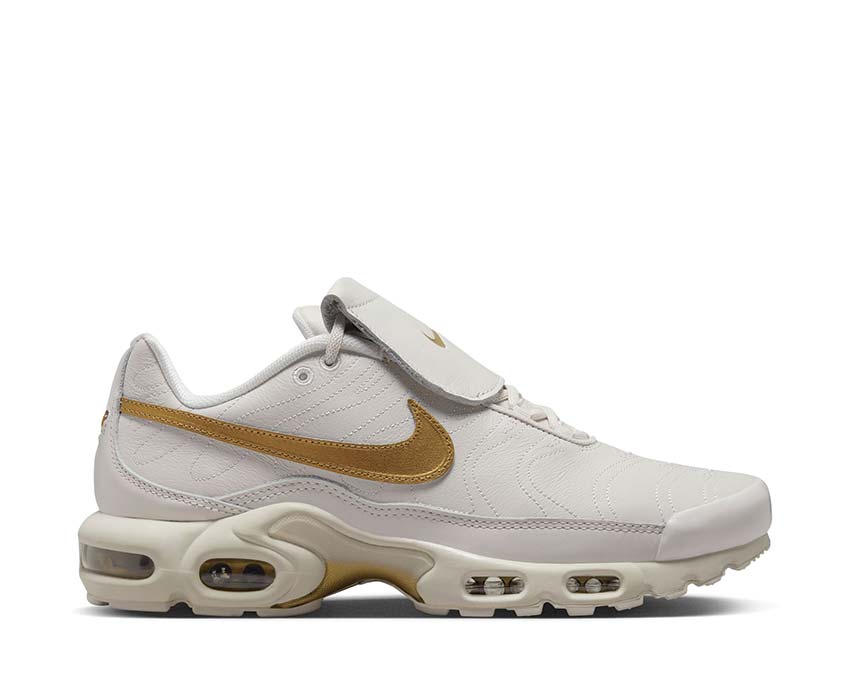 Nike Air Max Plus TNPO Phantom / Metallic Gold HV2541-001