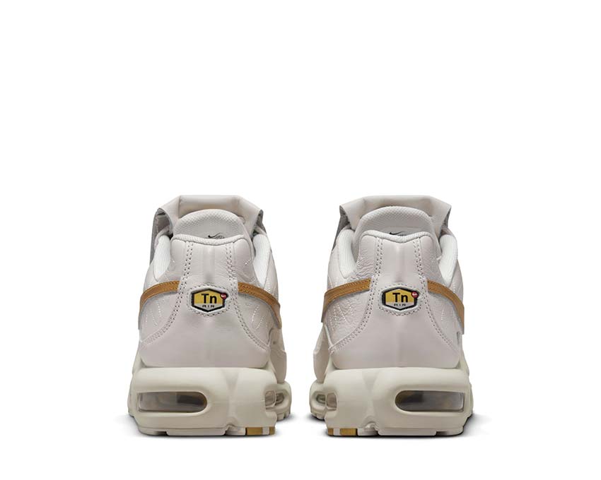 Nike Air Max Plus TNPO Phantom / Metallic Gold HV2541-001