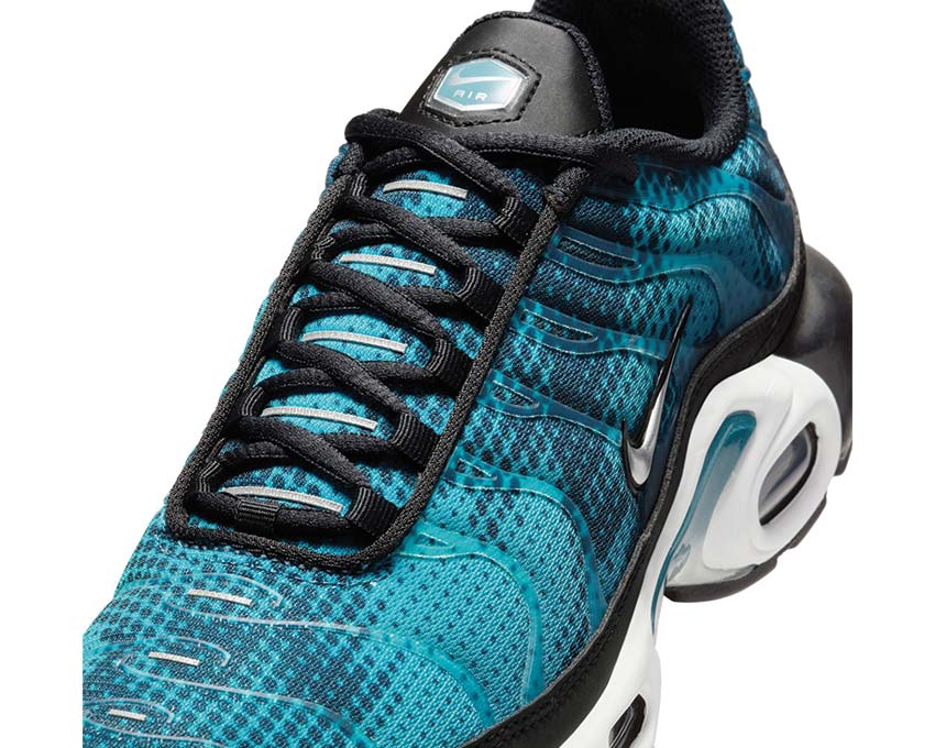 Nike Air Max Plus W Black / Metallic Silver - Dusty Cactus - White HV6355-001