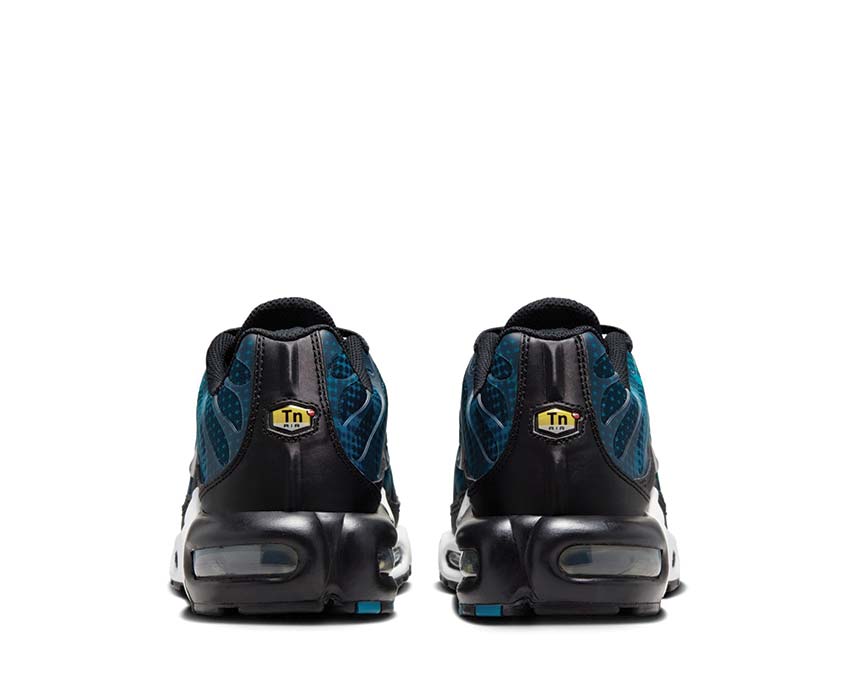 Nike Air Max Plus W Black / Metallic Silver - Dusty Cactus - White HV6355-001