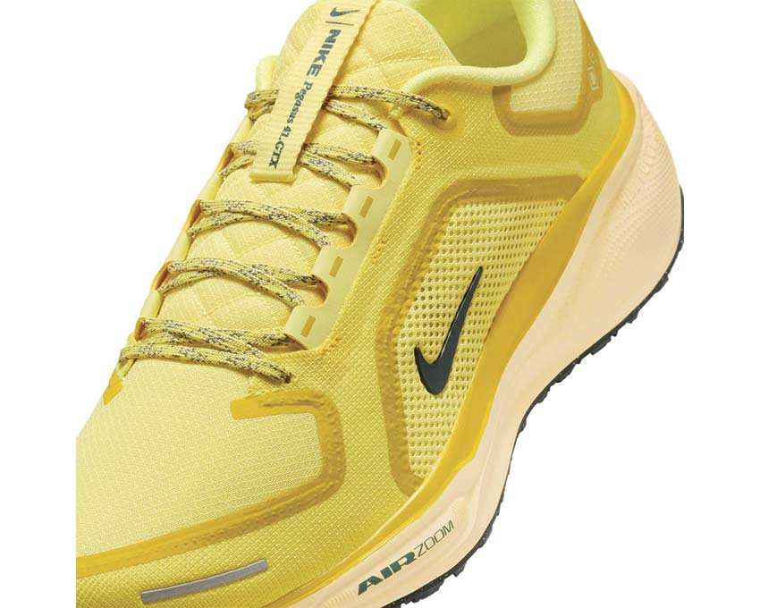Nike Air Zm Pegasus 41 Gtx FQ1356-700
