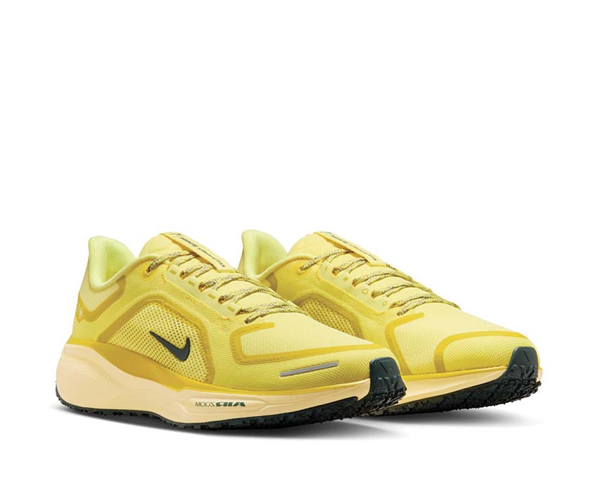 Nike Air Zm Pegasus 41 Gtx FQ1356-700