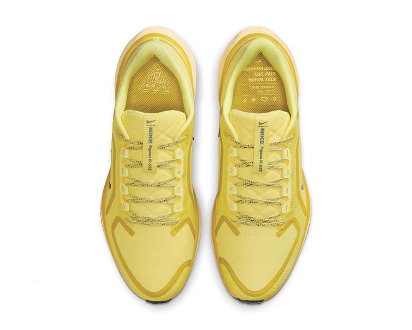 Nike Air Zm Pegasus 41 Gtx FQ1356-700