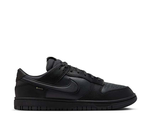 Nike Dunk Low GTX HQ2053-001