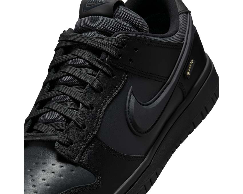 Nike Dunk Low GTX HQ2053-001