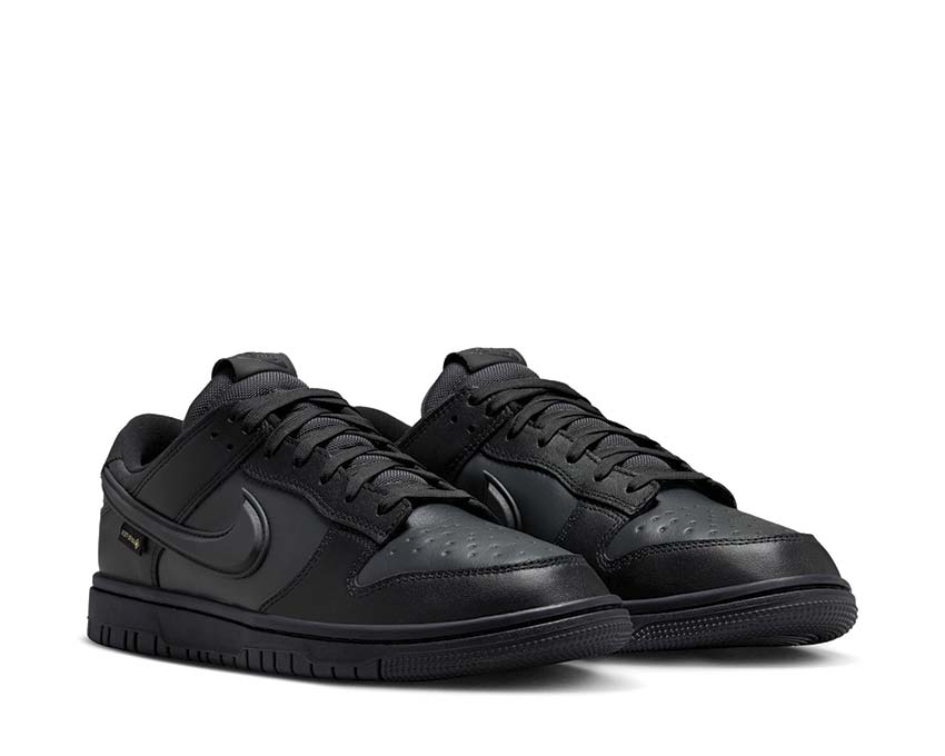 Nike Dunk Low GTX HQ2053-001