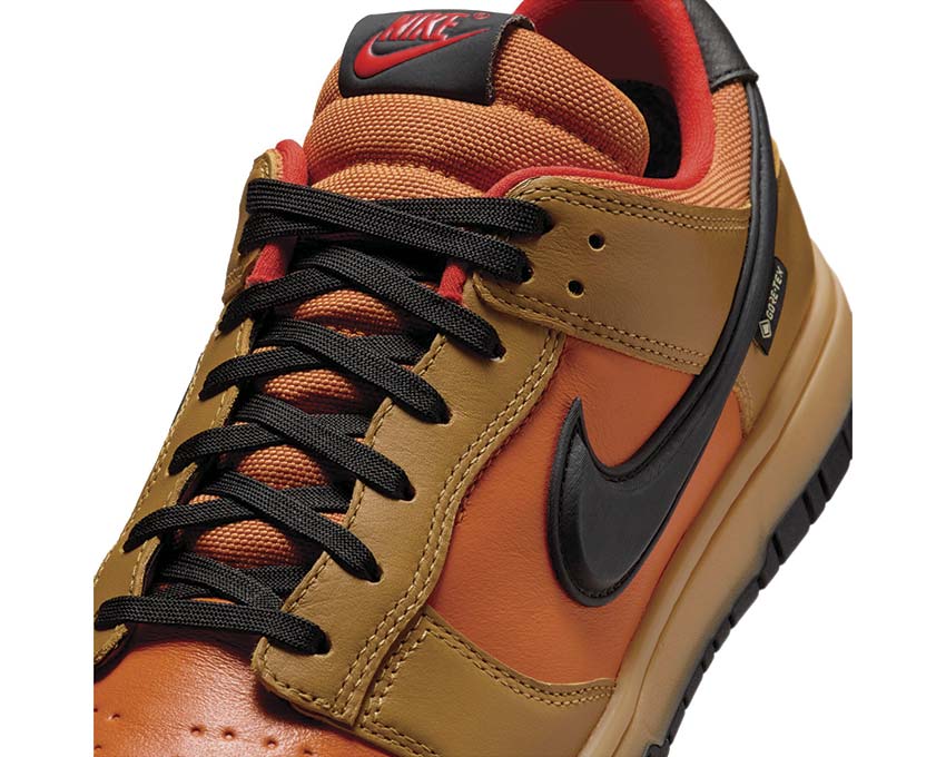 Nike Dunk Low GTX HQ2053-700