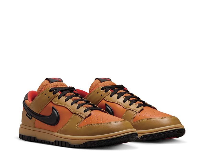 Nike Dunk Low GTX HQ2053-700