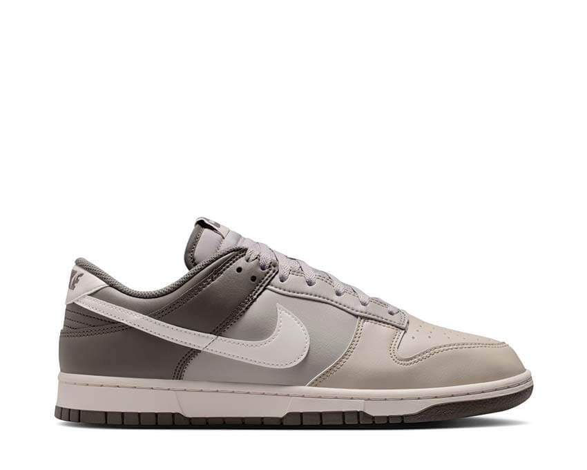 Nike Dunk Low Retro HF5441-009
