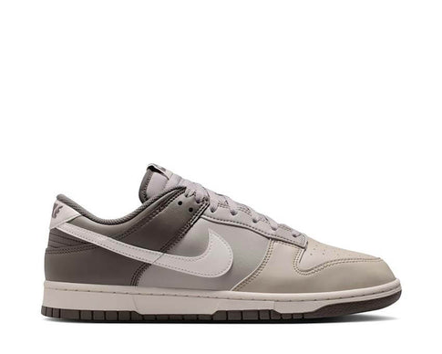 Nike Dunk Low Retro HF5441-009