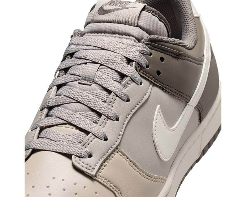 Nike Dunk Low Retro HF5441-009