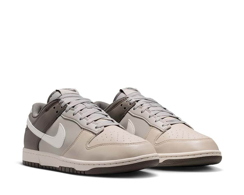 Nike Dunk Low Retro HF5441-009