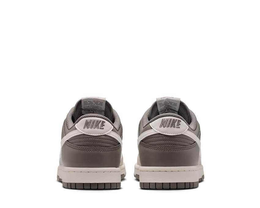 Nike Dunk Low Retro HF5441-009