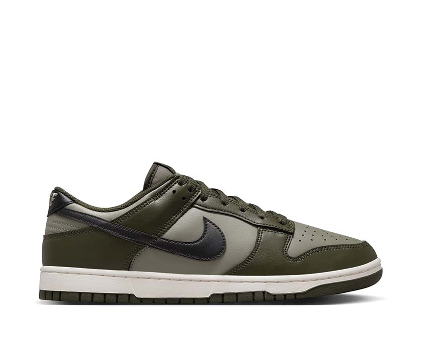  Nike Dunk Low Retro HF5441-300