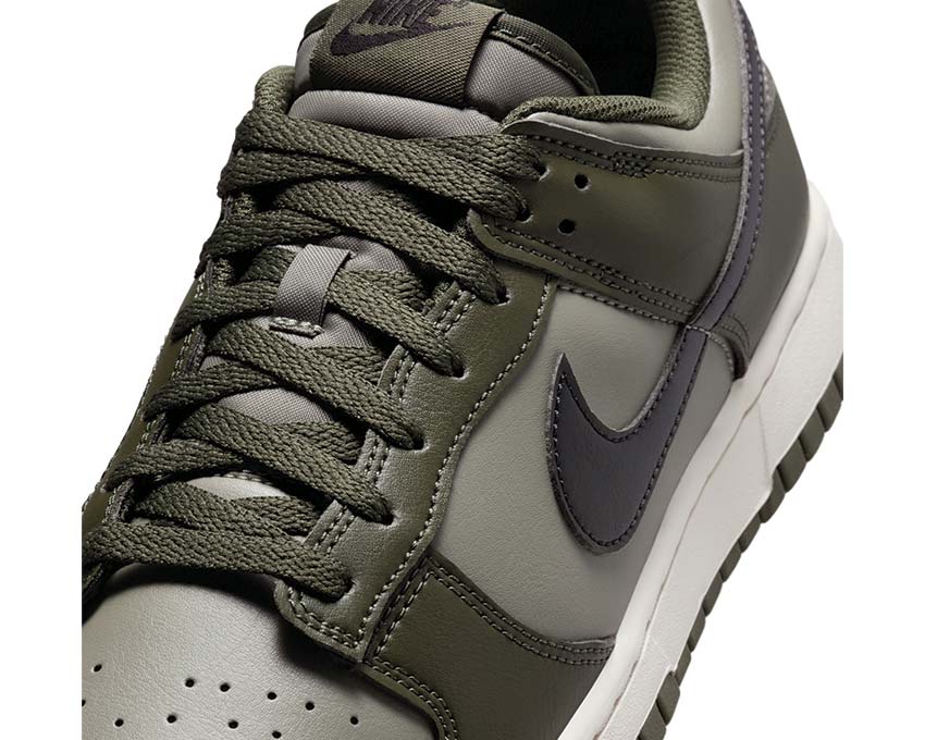  Nike Dunk Low Retro HF5441-300