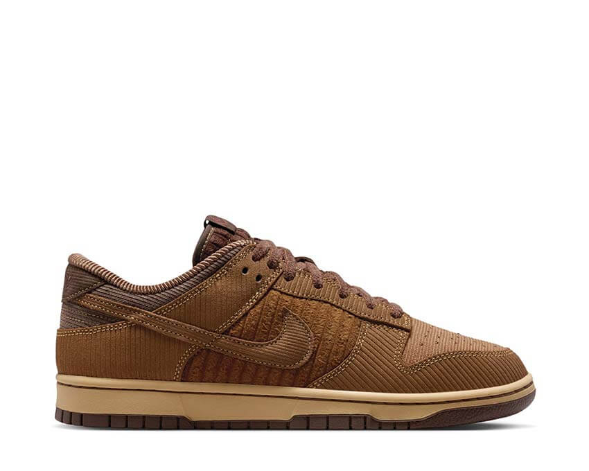 Nike Dunk Low Retro Prm IB7746-200