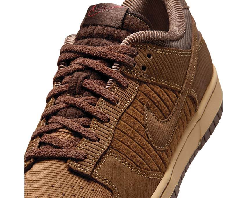  Nike Dunk Low Retro Prm IB7746-200