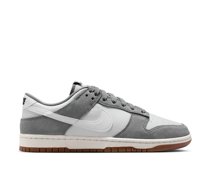  Nike Dunk Low Retro SE Cool Grey / White - Photon Dust - White IB6399-001