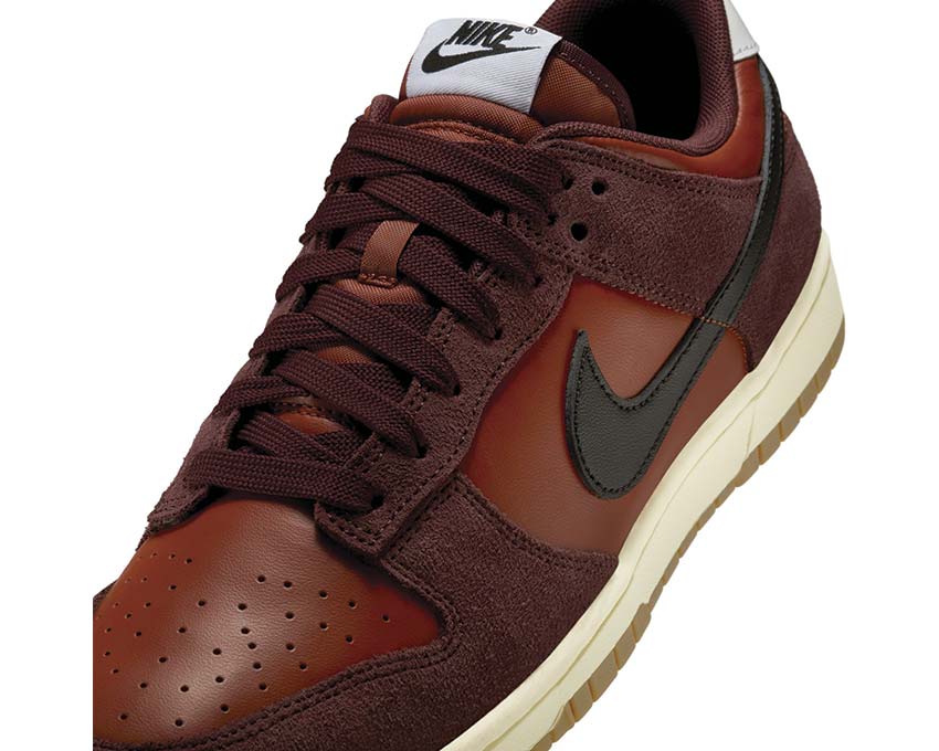 Nike Dunk Low Retro SE IB6399-600
