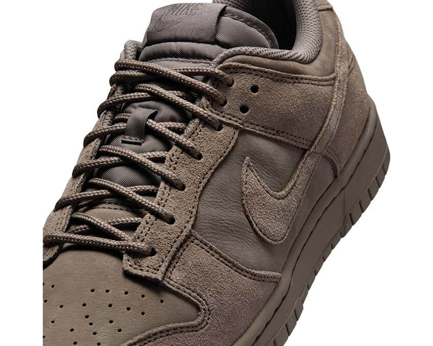 Nike Dunk Low Retro SE IB6651-200