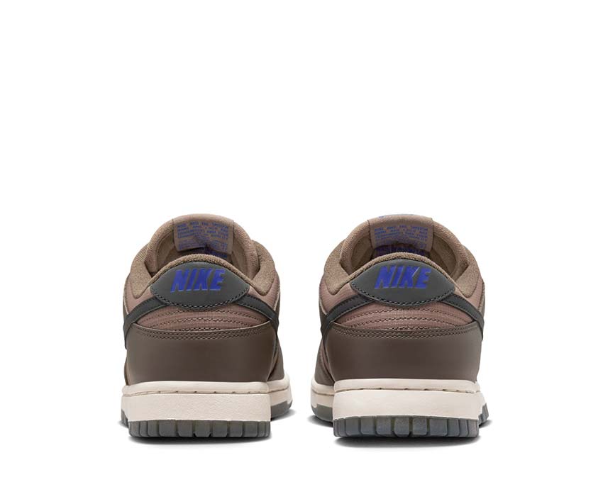 Nike Dunk Low W Ironstone / Anthracite - Mink Brown FZ2552-001