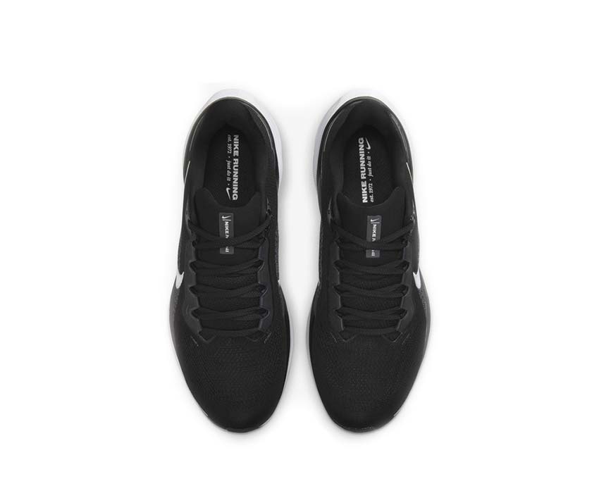 Nike Pegasus 41 Black / White - Anthracite FD2722-002