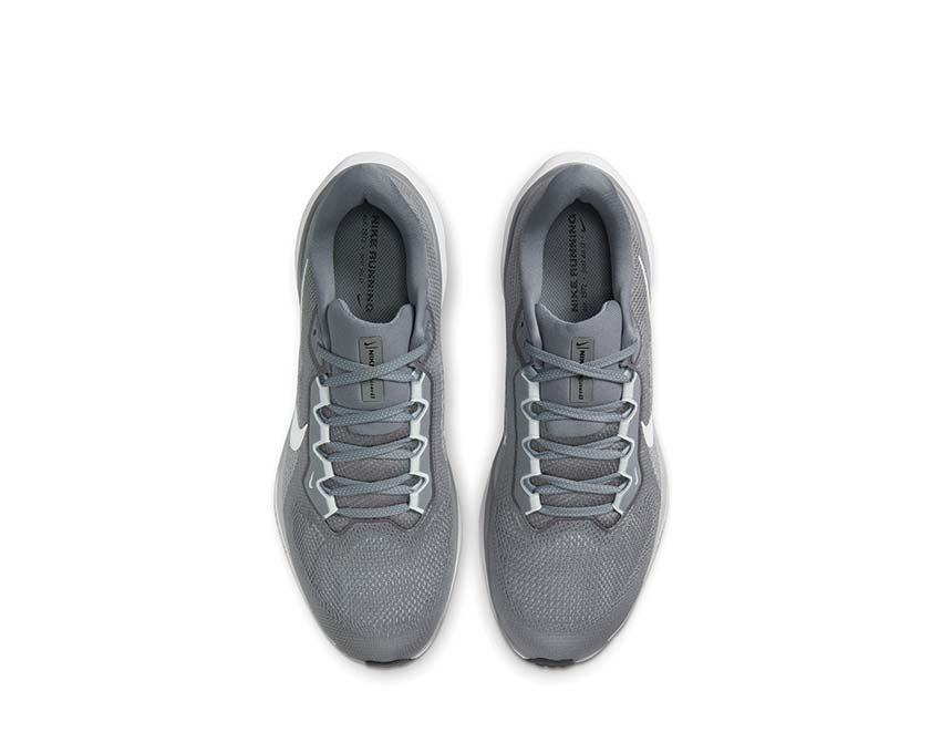 Nike Pegasus 41 Cool Grey / White - Wolf Grey - Pure Platinum FD2722-009