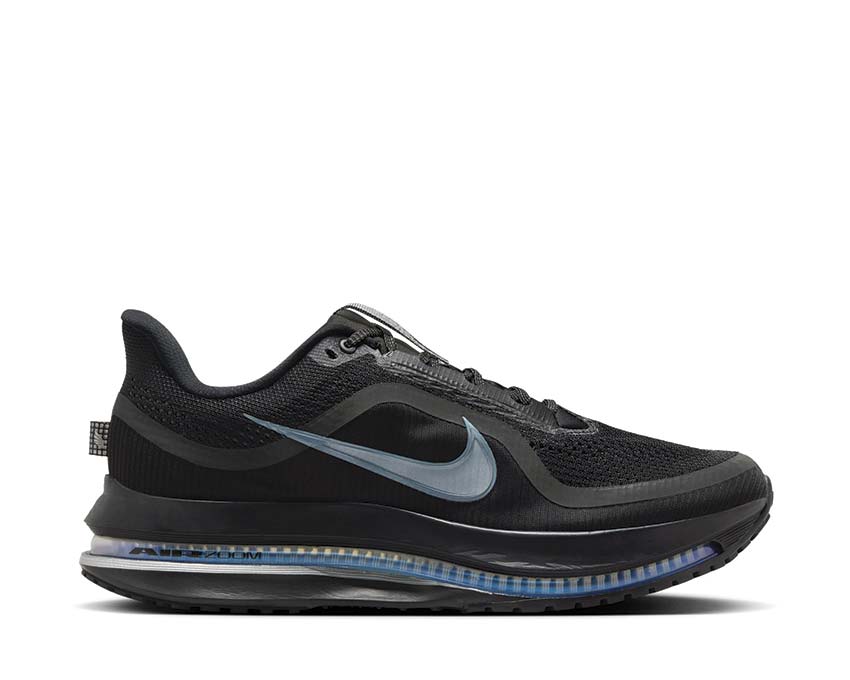 Nike Pegasus Premium Black / Black - Metallic Silver HQ2592-005