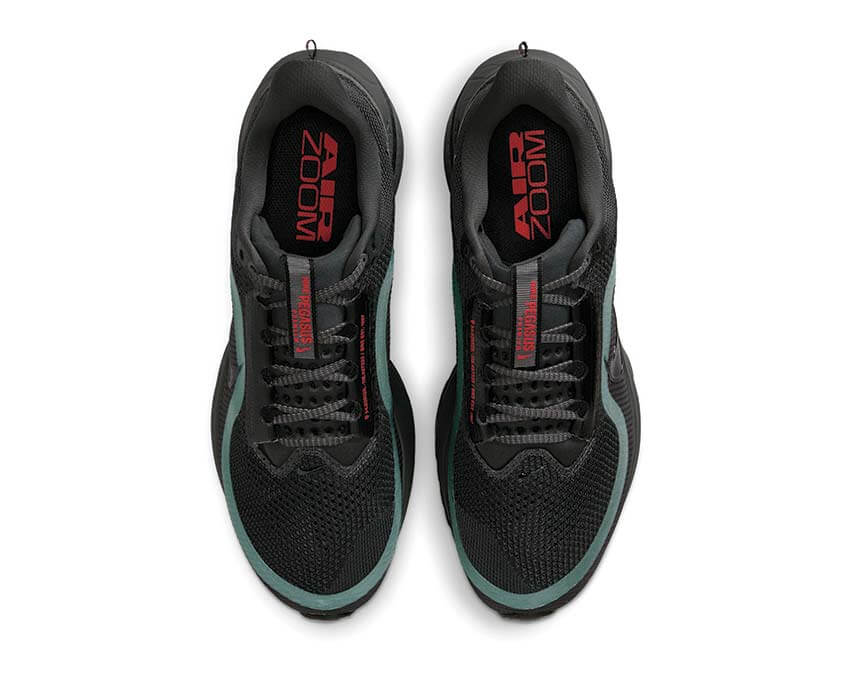 Nike Pegasus Premium HQ2592-011 